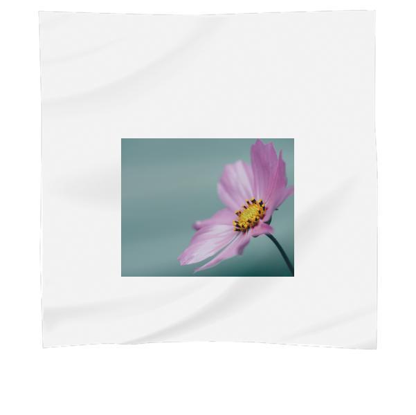 Flower Pink CloseUp Scarf