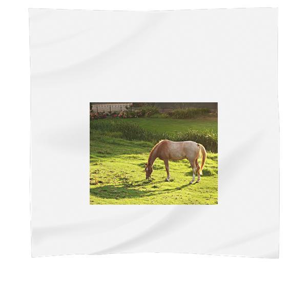Brown And White Horse Eating Green Grass During Daytime Scarf