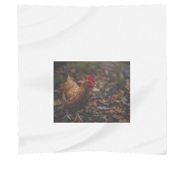 Brown Feathered Hen Scarf