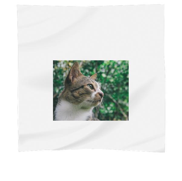 Close Up Photo Of Gray And White Tabby Cat Scarf