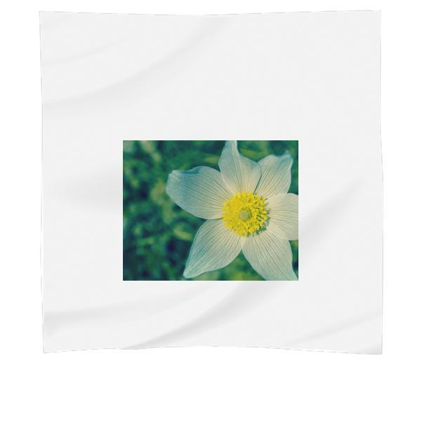 White And Yellow Flower During Daytime Scarf