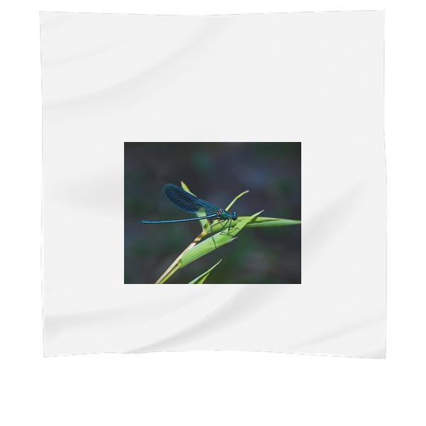Teal Dragonfly On A Green Leafed Plant During Daytime Scarf