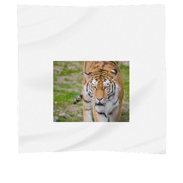 Tiger On Green Grass During Daytime Scarf
