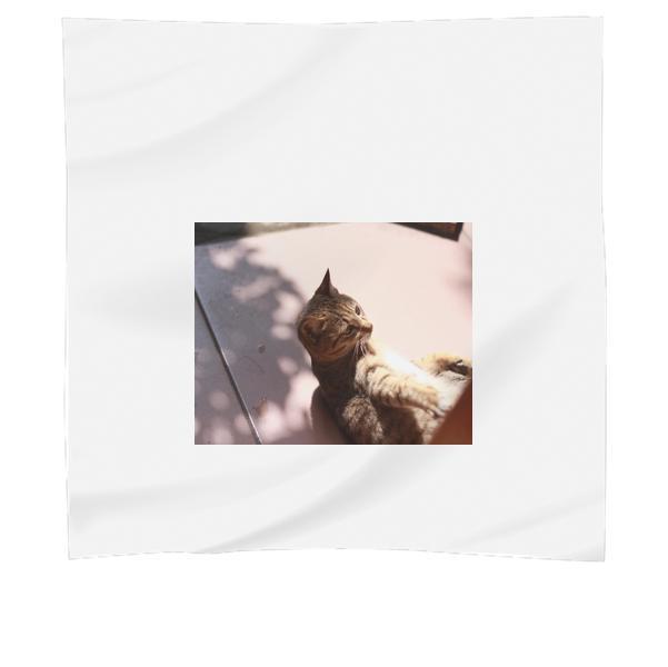 Brown Tabby Cat Scarf