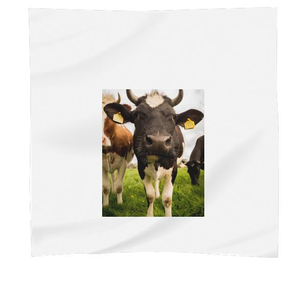 Animal Countryside Agriculture Farm Scarf