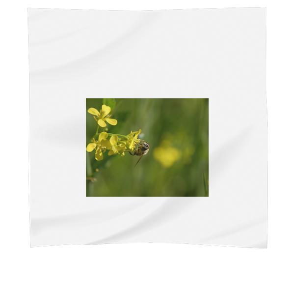 Plant Flower Bee Bumblebee Scarf