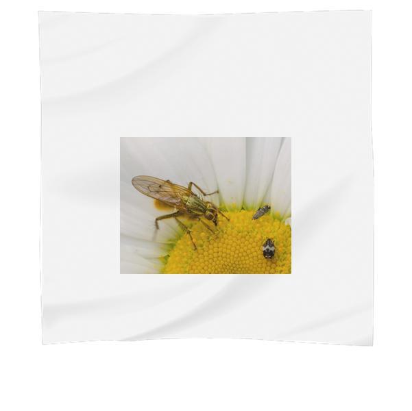 Animal Flower Pollen Insect Scarf