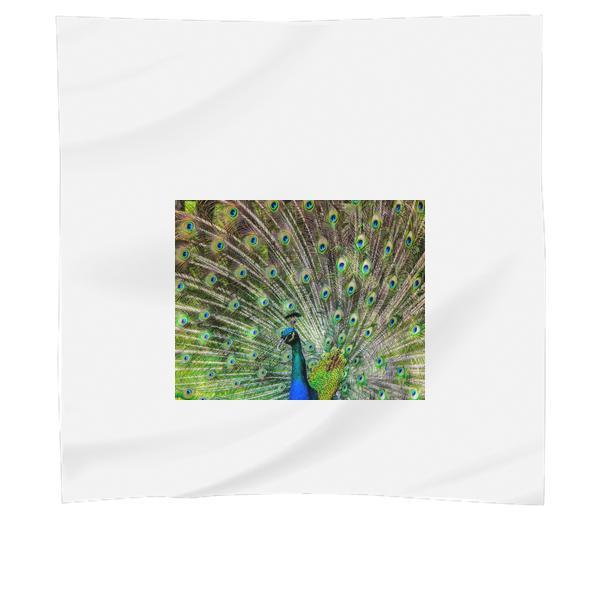 Blue Green And Brown Peacock Scarf