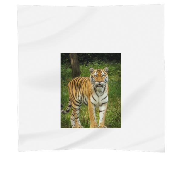 Tiger In Green Grass Near The Tree During Daytime Scarf