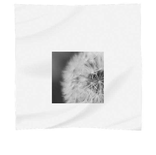 Close Up Photo Of Dandelion Scarf