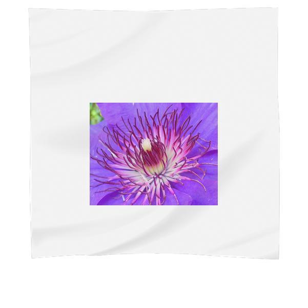 Purple Multi Petaled Flower Macro Photography Scarf