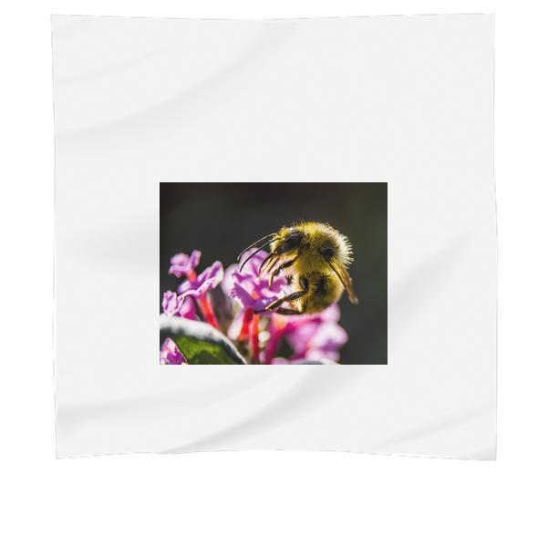 Flower Bee Bumblebee Insect Scarf