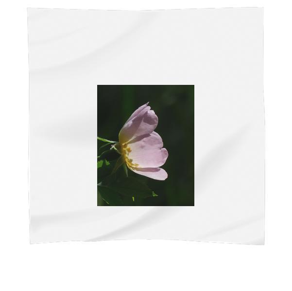 Pink Petaled Flower Blooming At Daytime Scarf