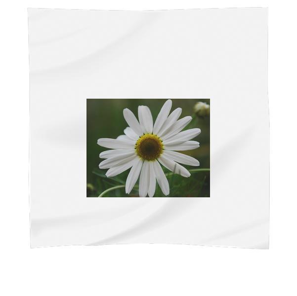 Close Up Photo White Petaled Flower Scarf