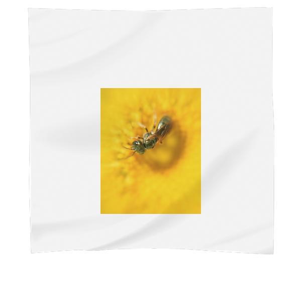 Yellow Flower Insect Macro Scarf