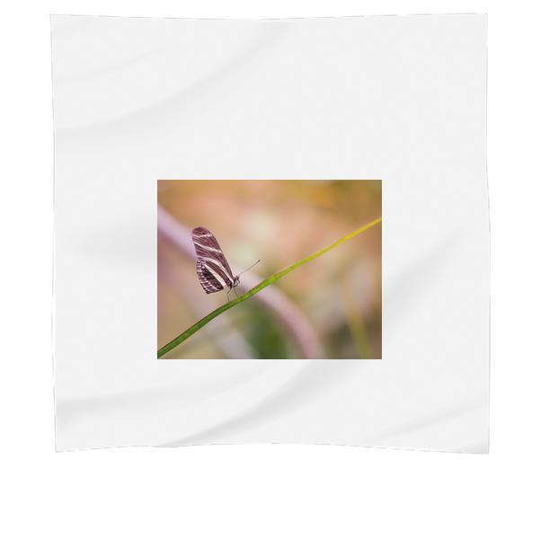 Animal Bokeh Insect Butterfly Scarf