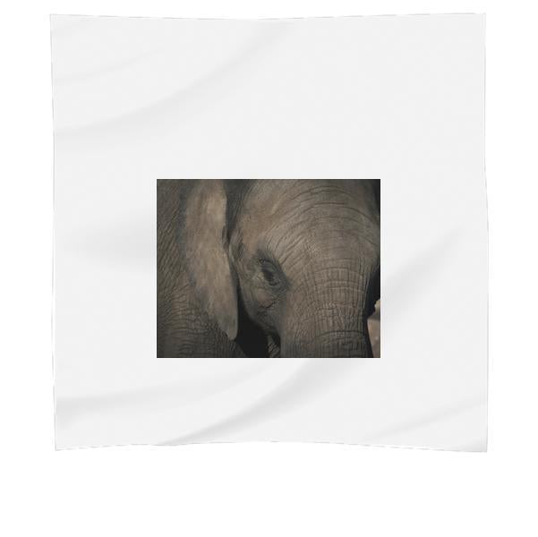 Animal Wildlife CloseUp Elephant Scarf