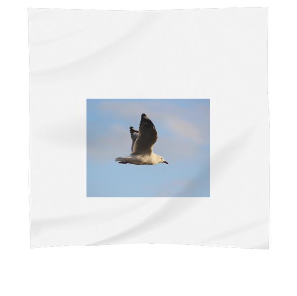 White And Black Bird Flying During Daytime Scarf
