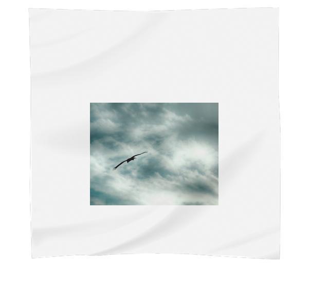 Black Bird Flying During White And Blue Skies Scarf