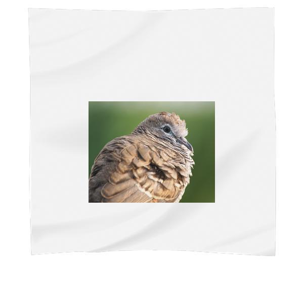 Focus Photography Of Brown And Black Bird Scarf