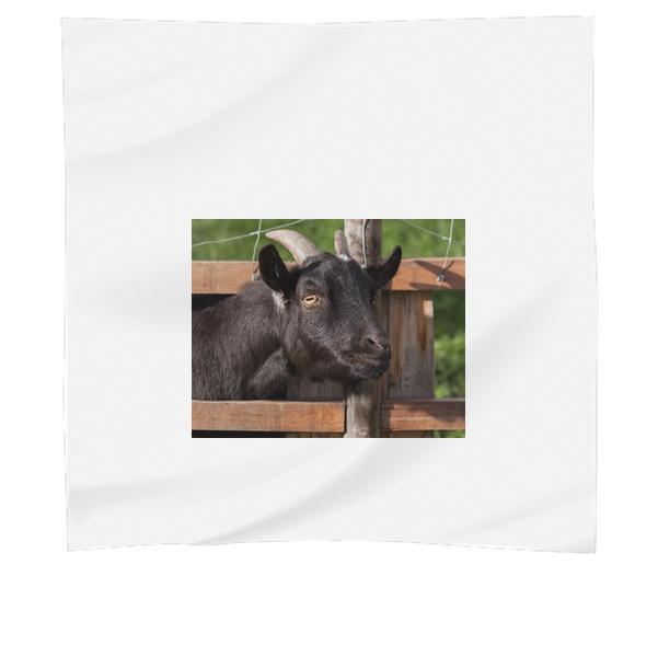 Black Goat During Daytime Scarf