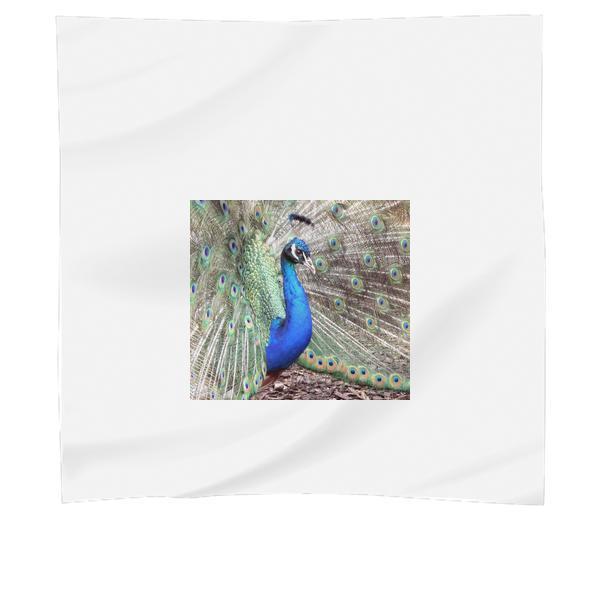 Blue Peacock Scarf