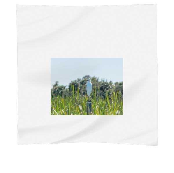 White And Yellow Bird On Pole Beside Grasses During Daytime Scarf