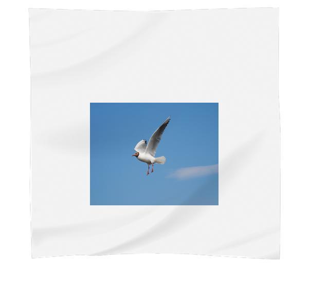White Bird Flying Above Blue Skies During Daytime Scarf