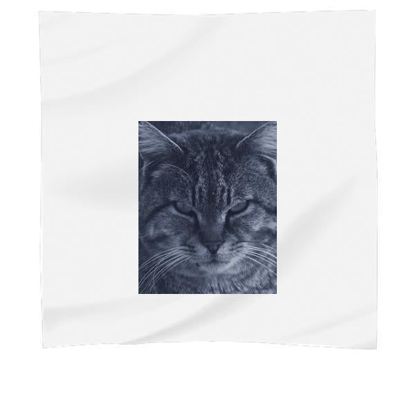 Cat In Grayscale Photo Scarf