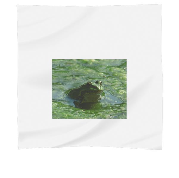 Frog On Body Of Water During Daytime Scarf