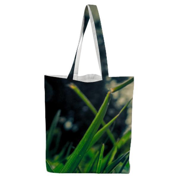 Landscape Nature Trees Sunrise Tote Bag