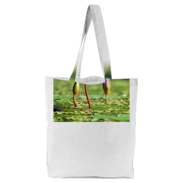 3 Plant Is About To Rise Under The Sunlight Tote Bag