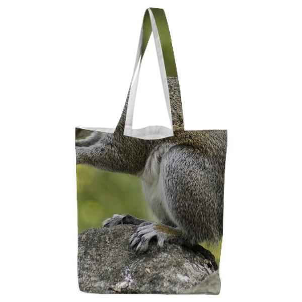 Photo Of Squirrel Holding Nut During Daytime Tote Bag