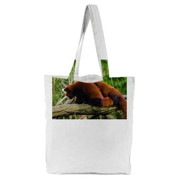 Brown And White Animal On Brown Tree Trunk Tote Bag