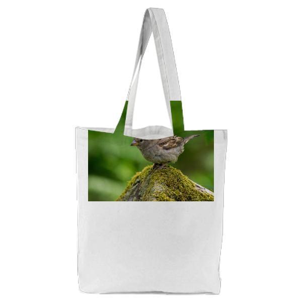 Grey And White Small Bird On Grey Moss Covered Rock Tilt Screen Photography Tote Bag