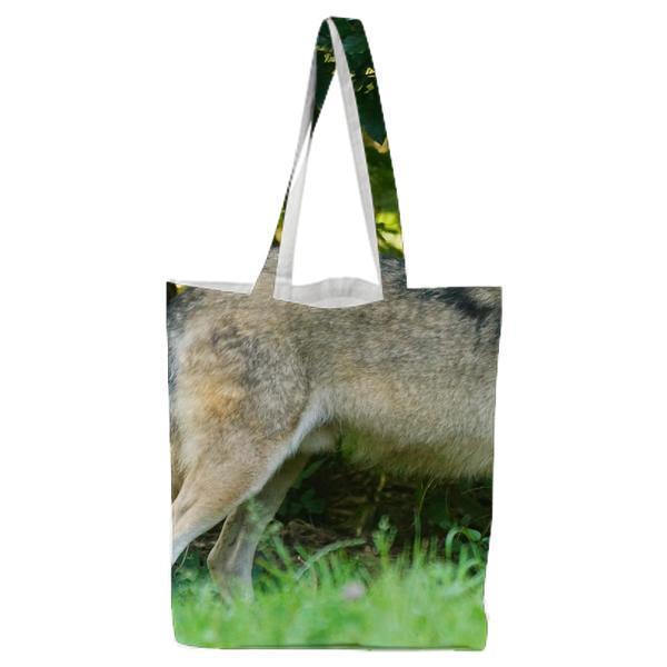 Brown Wolf Standing On Green Grass Tote Bag