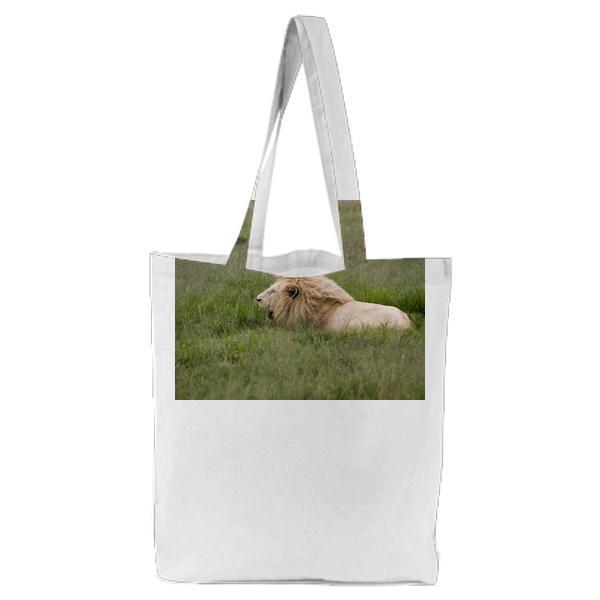 Brown Adult Male Lion On Green Grass Field During Daytime Tote Bag