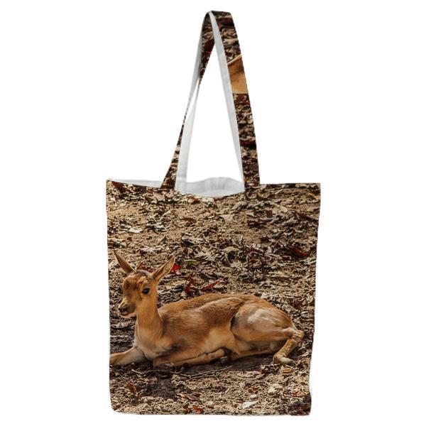 Nature Animal Wildlife Mammal Tote Bag