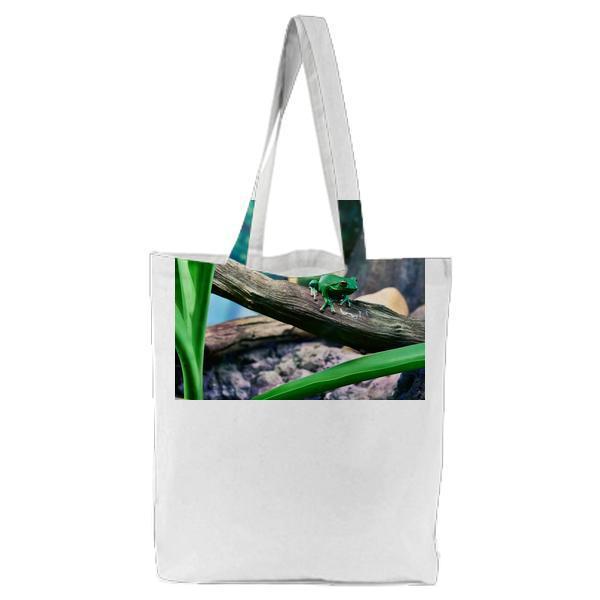 Green Tree Frog Perching On During Daytime Tote Bag