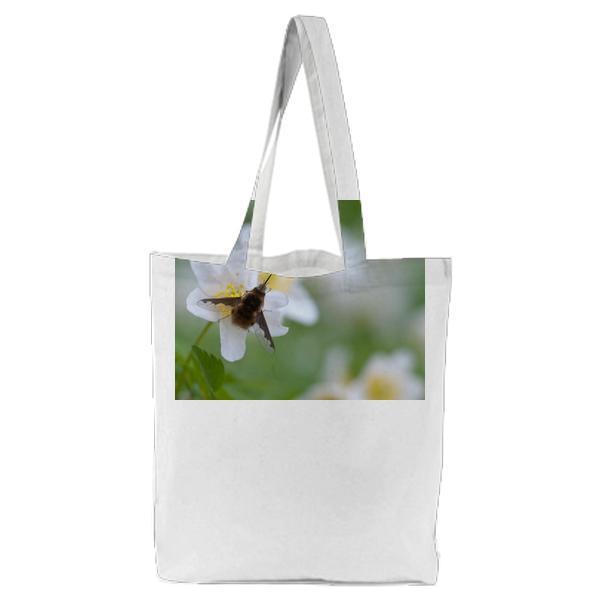 Brown Moth On White Petal Flower During Daytime Tote Bag