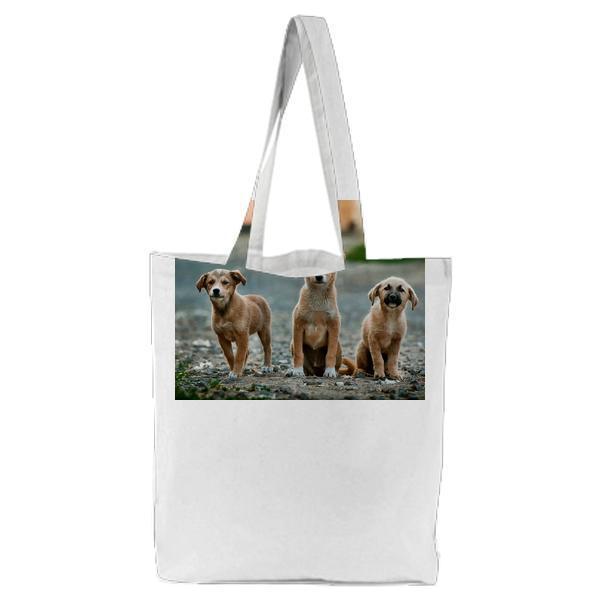 3 Tan Short Coated Puppy On Gray Dirt During Daytime Tote Bag