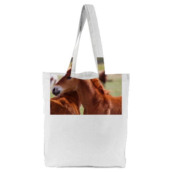 Brown Horse On Daytime Tote Bag