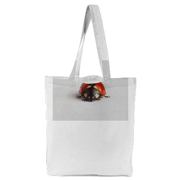Animal Insect Ladybird Closeup Tote Bag