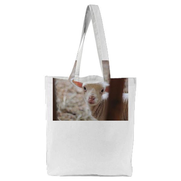 White Lamb In Close Up Photography Tote Bag