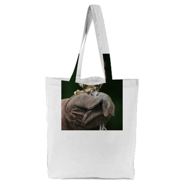 Brown And White Owl On Black Gloves Tote Bag