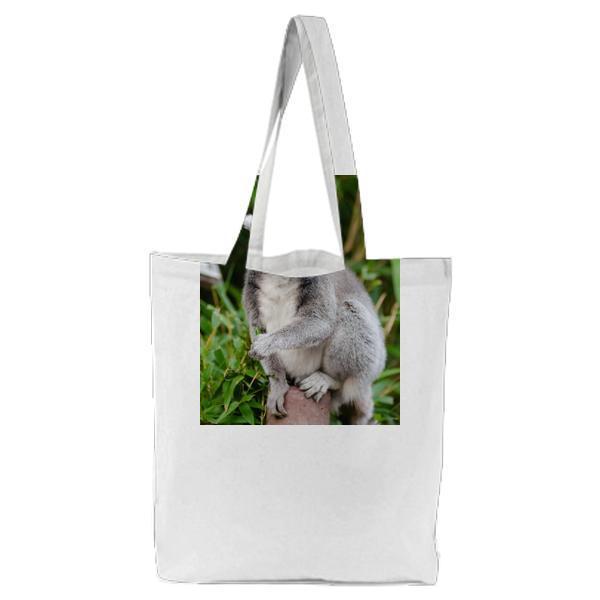 Gray And White Lemur Tote Bag