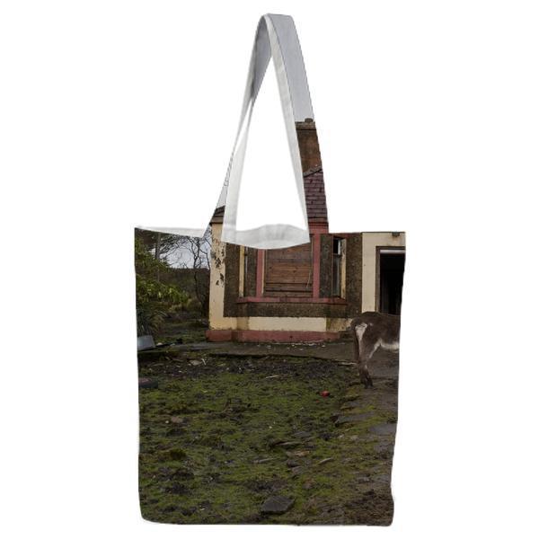 Red And White House Near Green Tree Photo Tote Bag
