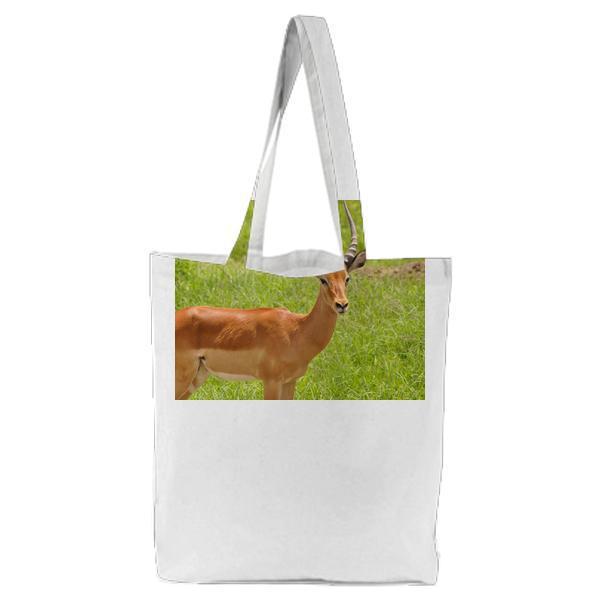 Animal Deer Antlers Wildlife Tote Bag