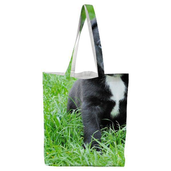 Black And White Short Coated Puppy Sitting On Green Grass Tote Bag