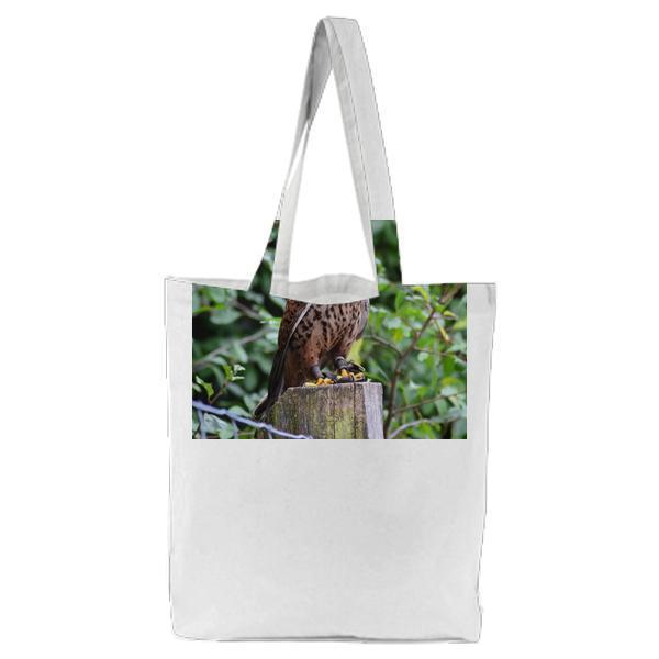 Brown Falcon On Brown Wooden Surface Tote Bag